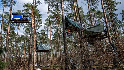 ناشطون يخيمون ويبنون منازل على الاشجار قرب مصنع تيسلا بالقرب من برلين، ألمانيا، الثلاثاء 5 آذار/ مارس/ 2024