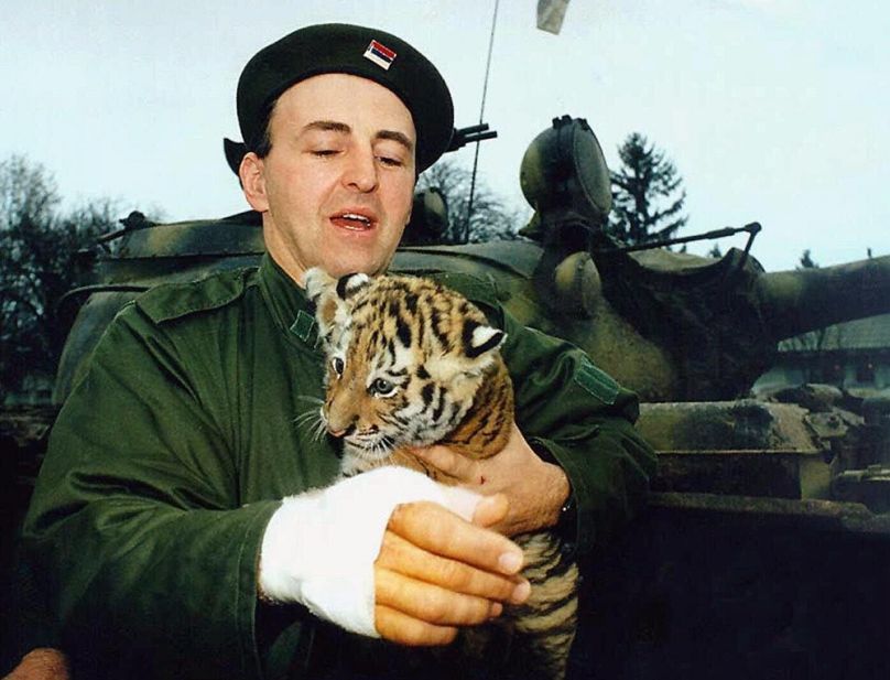 Željko Ražnatović Arkan kabalájával, a kis tigrissel a horvátországi Erdődben, 1991 novemberében