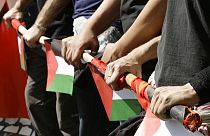 manifestanti pro-Palestina, immagine d'archivio