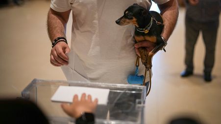 ناخب يحمل جروه أثناء إدلائه بصوته في الانتخابات الإقليمية في كاتالونيا في بلدة لا روكا ديل فاليس، شمال برشلونة، الأحد 12 مايو/أيار 2024.