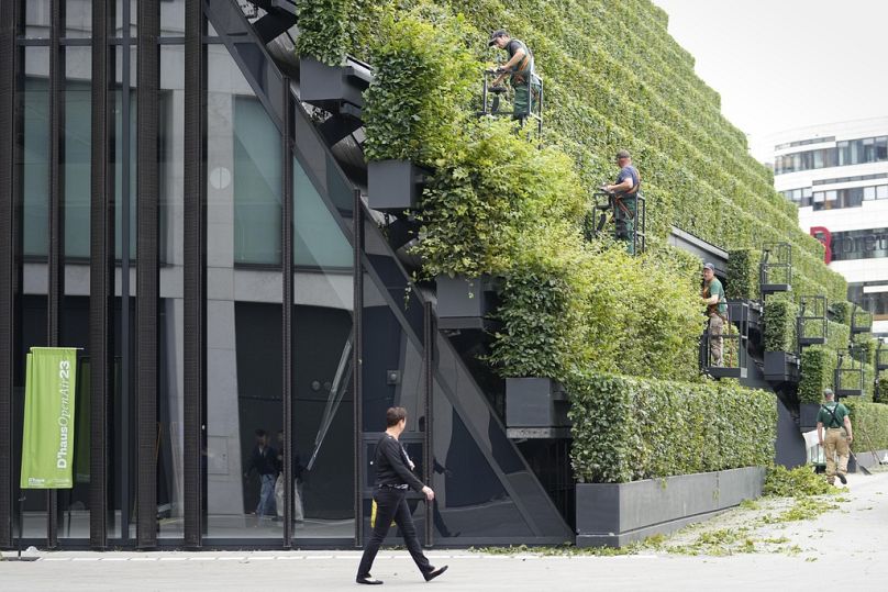 Gardeners work on the facade of the office and commercial building planted with more than 30,000 hornbeams, in the city centre of Dusseldorf, June 2023