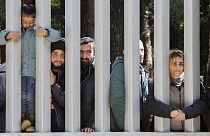 Members of a group of some 30 migrants seeking asylum are seen in Bialowieza, Poland, on Sunday, 28 May 2023.