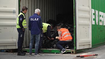 Internationale Zusammenarbeit bei der Bekämpfung des illegalen Abfallhandels