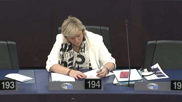 Hilde Vautmans pertence ao Grupo Renew Europe no Parlamento Europeu