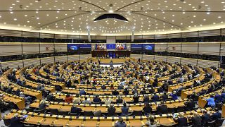 Os 720 legisladores da UE passarão os próximos cinco anos a refletir sobre questões como um euro digital e a reforma dos mercados de capitais 
