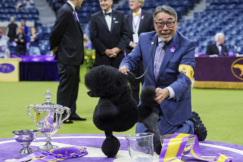 Sage, a miniature poodle, poses for photos after winning best in show at the 148th Westminster Kennel Club dog show Tuesday, May 14, 2024