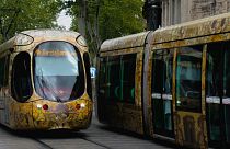 Montpellier made public transport free last December. 
