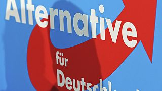 ملصق حزب البديل من أجل ألمانيا (AfD). 