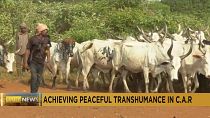 CAR: Conference aims to achieve peaceful seasonal migration of herds 