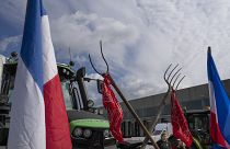 EU Policy. \n            \n                              First ruling farmer protesters to shake bloc’s agriculture policy
