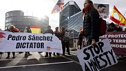Manifestantes protestan contra la ley de amnistía ante el Parlamento Europeo en 2023 en Estrasburgo