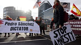 Manifestantes protestan contra la ley de amnistía ante el Parlamento Europeo en 2023 en Estrasburgo