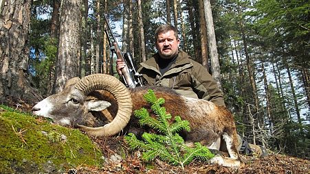 Orosz vadász kilőtt, veszélyeztetett fajnak számító muflonnal