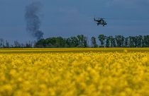 یک هلیکوپتر میگ-۸ اوکراینی از یک عملیات جنگی در خط مقدم در منطقه خارکیف اوکراین، یکشنبه ۱۹ می ۲۰۲۴ باز می گردد.