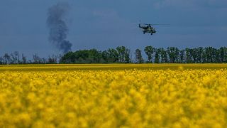 یک هلیکوپتر میگ-۸ اوکراینی از یک عملیات جنگی در خط مقدم در منطقه خارکیف اوکراین، یکشنبه ۱۹ می ۲۰۲۴ باز می گردد.
