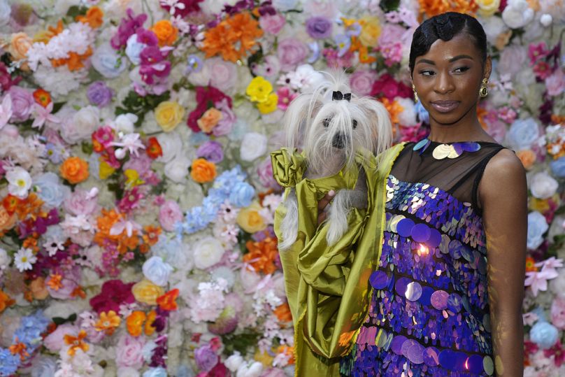 A dog and model attend the Pet Gala fashion show at AKC Museum of The Dog on Monday, 20 May 2024, in New York.