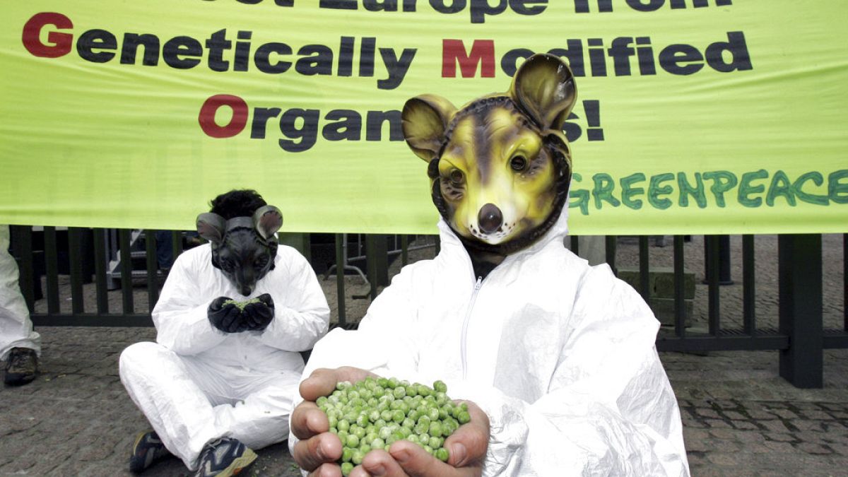 Belgium makes last-ditch bid for deal on GMO deregulation thumbnail