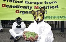 Protest outside the European Council headquarters in Brussels, Belgium in 2005. GOvernments are sensitive to longstanding public scepticism over genetically modified crops