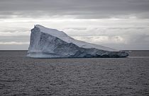 Antarktika'daki Bransfield Boğazı'nda yüzen bir buzdağı / Arşiv