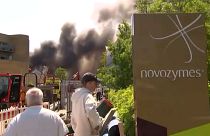 Smoke billowing behind Novo Nordisk HQ in Bagsværd, Copenhagen, on the day of the blaze, May 22, 2024.