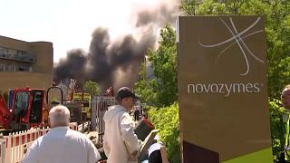 Fumo por detrás da sede da Novo Nordisk em Bagsværd, Copenhaga, no dia do incêndio, 22 de maio de 2024.