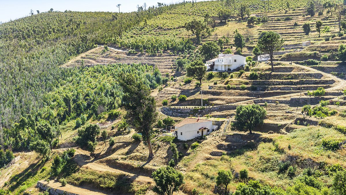 Rural communities in Portugal’s Algarve region take water management into their own hands thumbnail