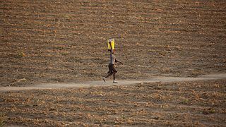 El Niño aggrave la crise climatique et l'insécurité alimentaire