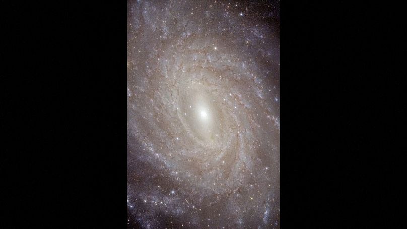 NGC 6744 المجرة الحلزونية