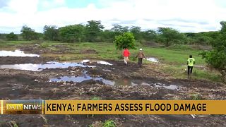 Kenya: Farmers assess damage after deadly floods