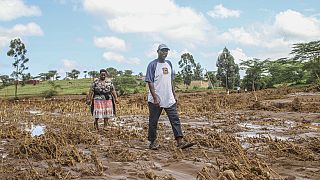 Kenya : les dégâts des inondations sur l'agriculture