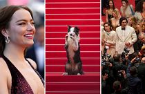The best of Cannes red carpet in photos