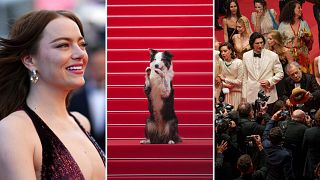 Lo mejor de la alfombra roja de Cannes en fotos