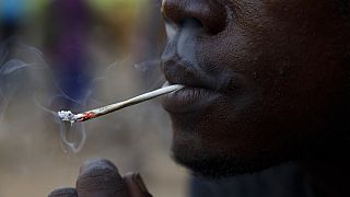 La Sierra Leone lutte contre le kush, une drogue aux effets dévastateurs