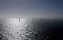 Wind turbines, including some from RWE's Kaskasi offshore wind  farm off Helgoland, Germany.