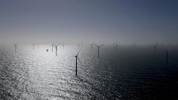 Wind turbines, including some from RWE's Kaskasi offshore wind  farm off Helgoland, Germany.