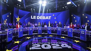The European Elections will take place on June 9 in France.