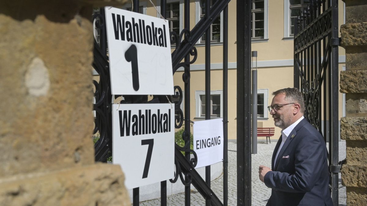 Far-right AfD makes gains but fails to win outright in local elections thumbnail