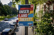 AfD Wahlplakat in Deutschland.