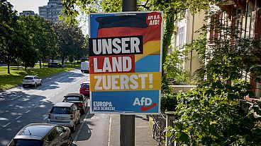 Cartaz do partido político alemão Afd