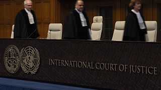Corte internazionale di giustizia dell'Aja 