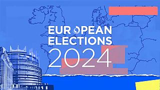 Kurz vor den Europawahlen hat Euronews einen EU-Bürger und eine Spitzenkandidatin gefragt, was sie als EU-Abgeordnete verändern würden: Stärkere Importkontrollen.