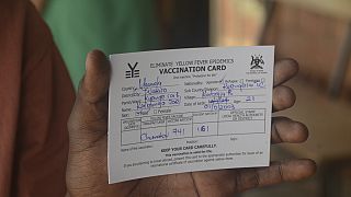Uganda tackles yellow fever with new travel requirement