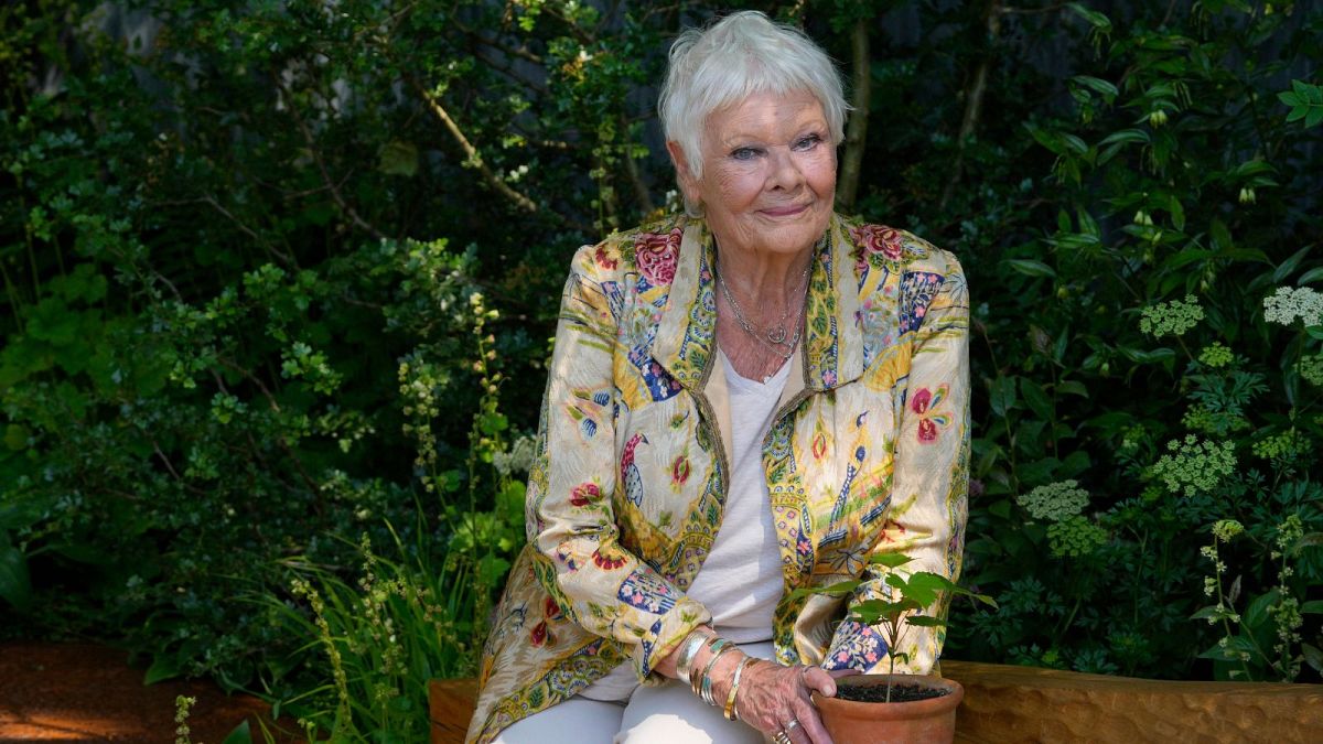 Dame Judi Dench hints at retirement after 60 years on screen and stage thumbnail