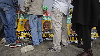 Élections en Afrique du Sud : quels partis face à l'ANC de Ramaphosa ?