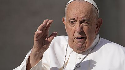 Pope apologizes for vulgar remark on gay Priests ban
