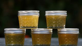 Jars filled with freshly harvested honey from backyard beehives are seen in Piedmont, Calif., on Saturday, July 3, 2010.