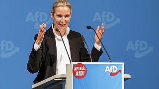 Alice Weidel, presidente federale dell'AfD, 25 maggio 2024