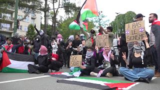 Pro-Palestinian organisations and student movements gathered in front of the Israeli embassy
