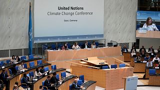 Participants meet at last year's the United Nations Climate Change Conference in Bonn, Germany
