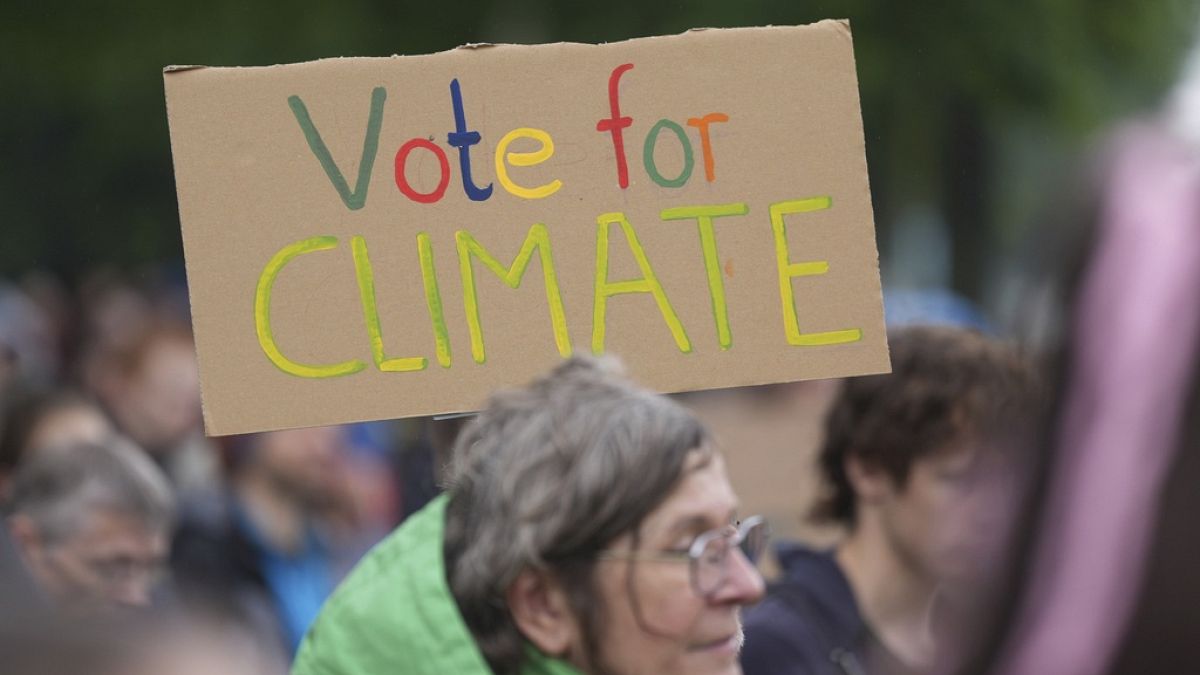 'Fridays for Future' demonstrators march ahead of EU elections